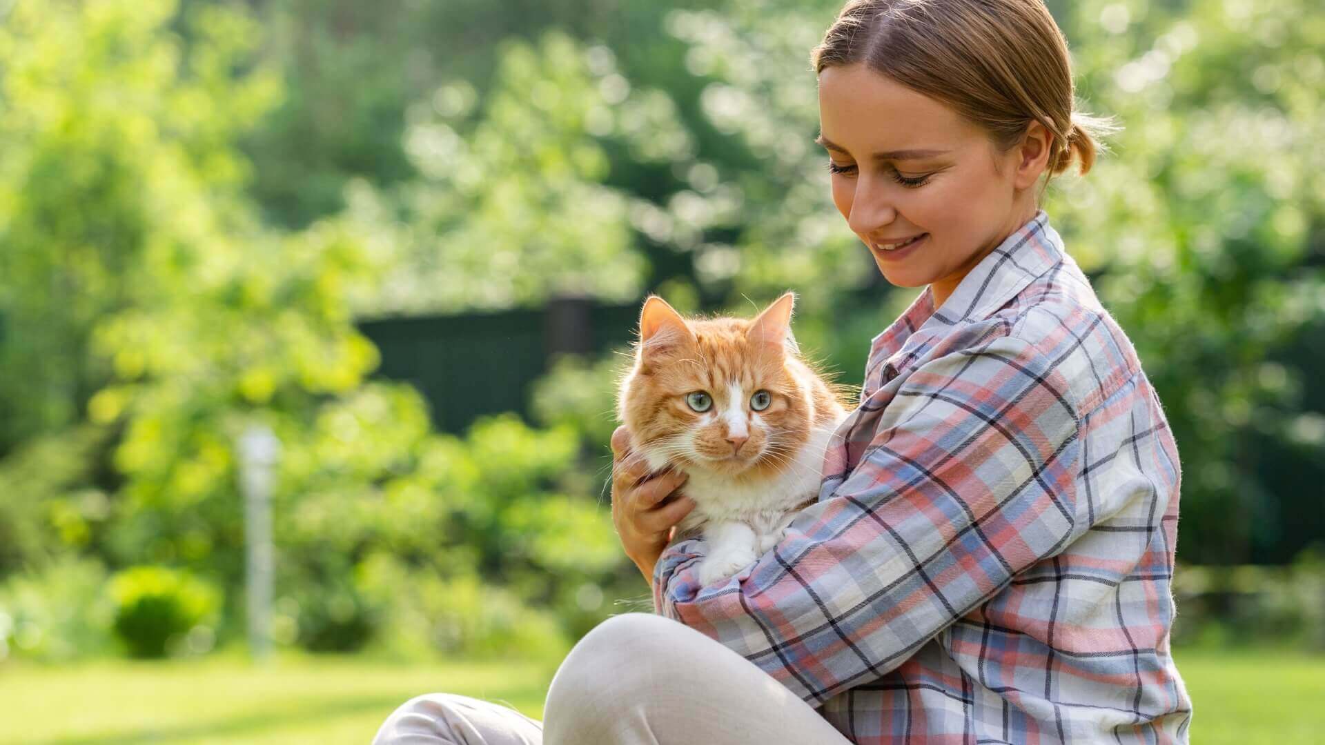Veterinary hospital in Aurora
