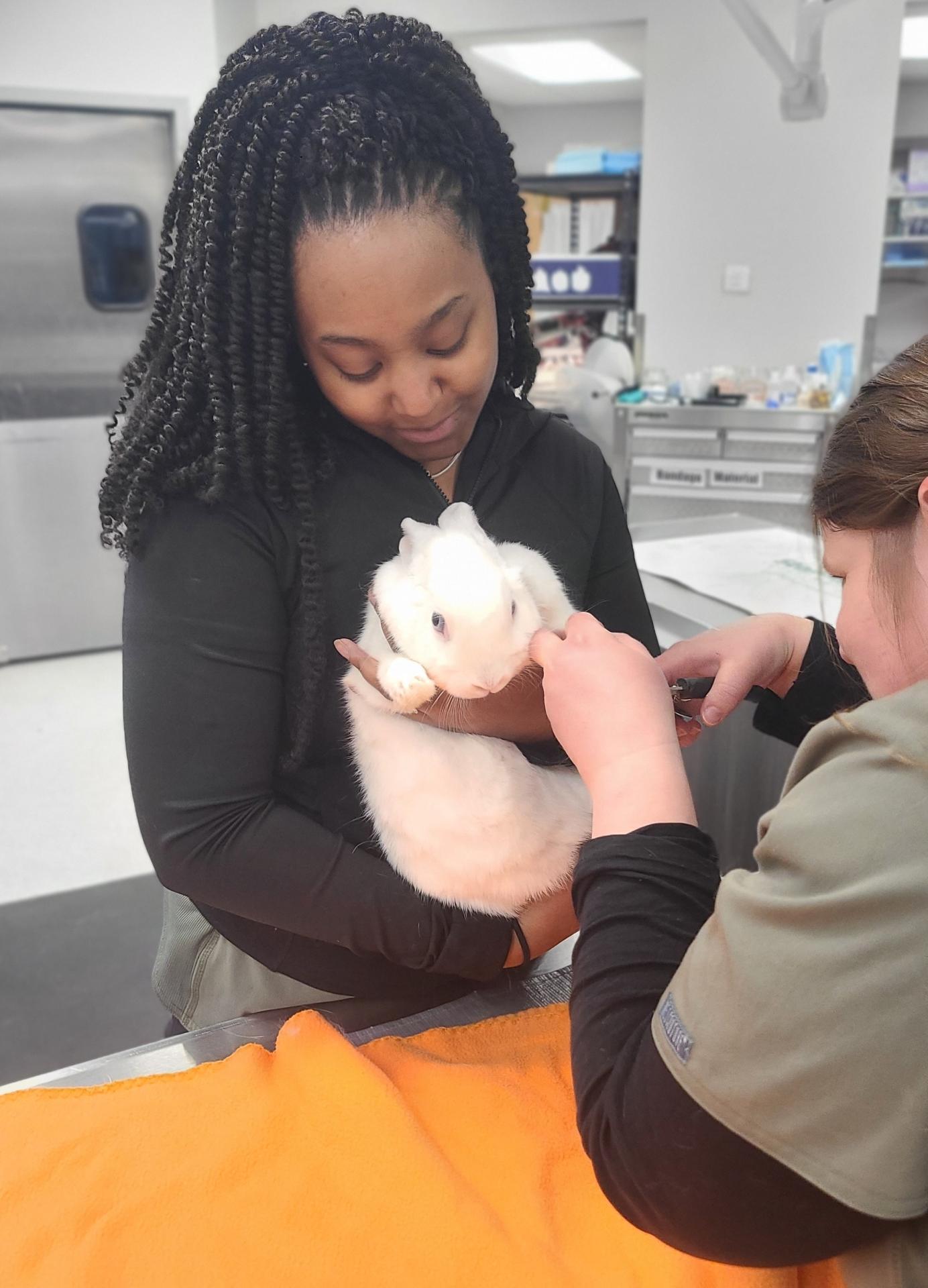 Bunny Basics: A Guide to Happy, Healthy, Rabbits