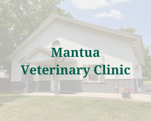 Mantua Veterinary Clinic