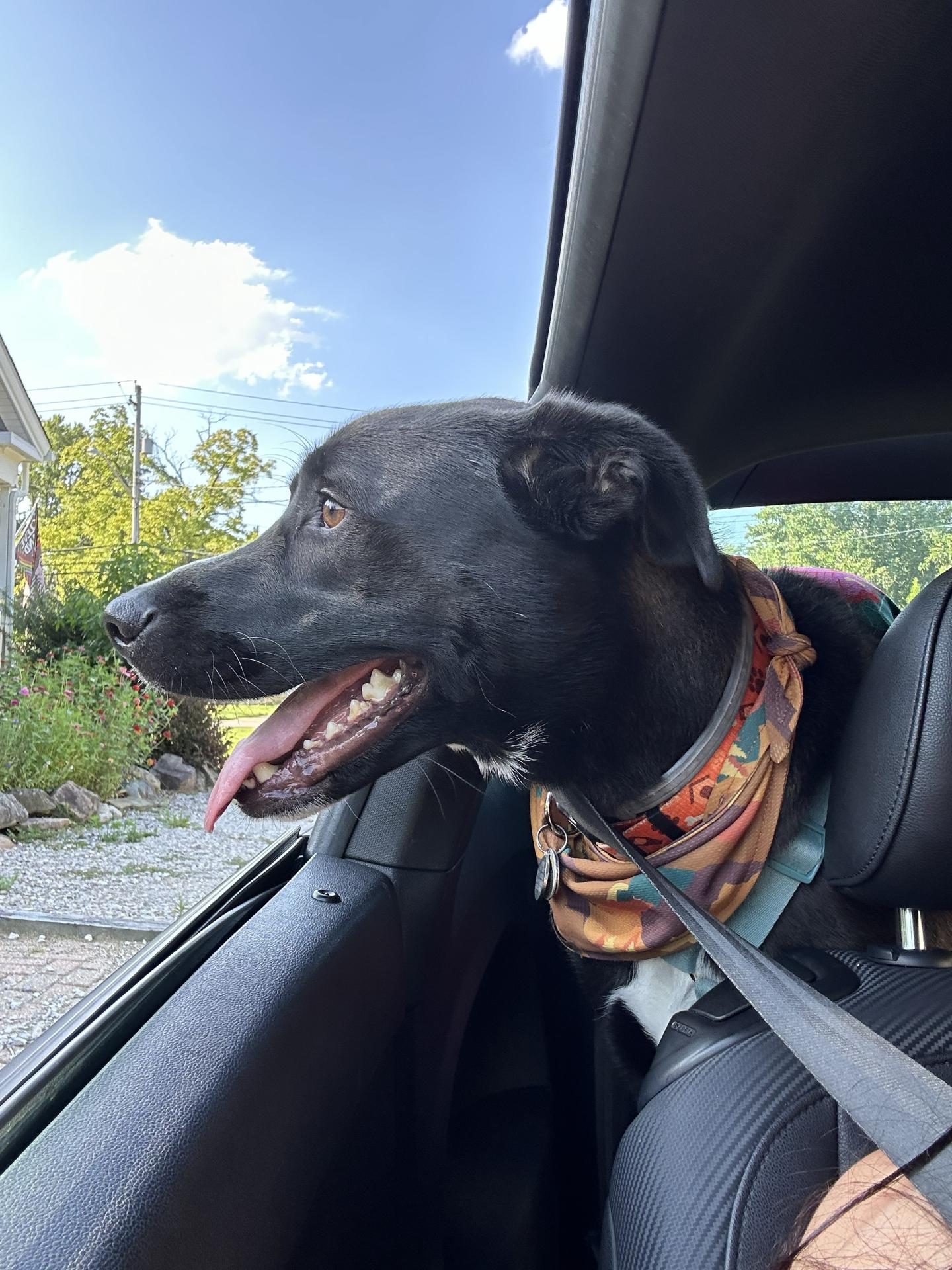 happy boy