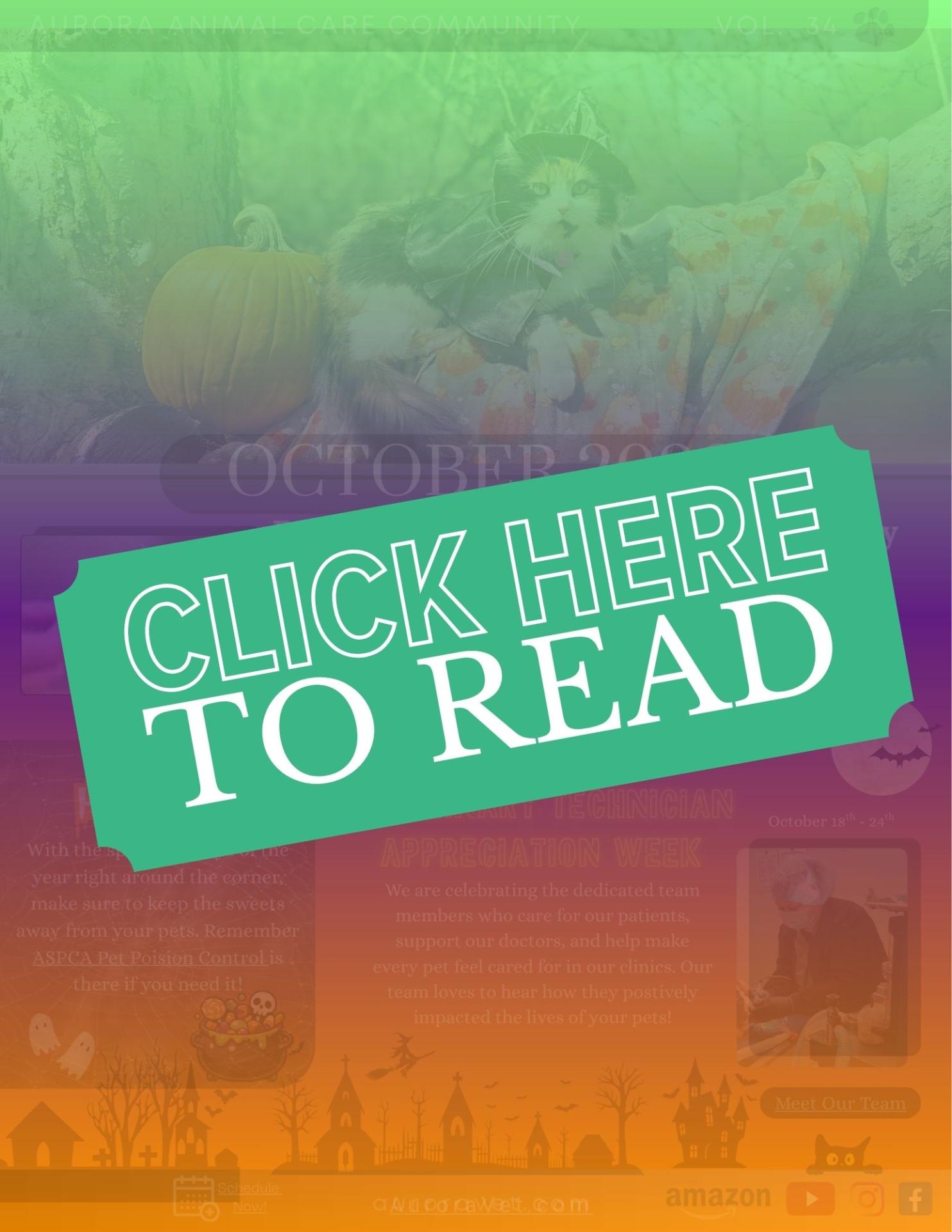 october newsletter 2026