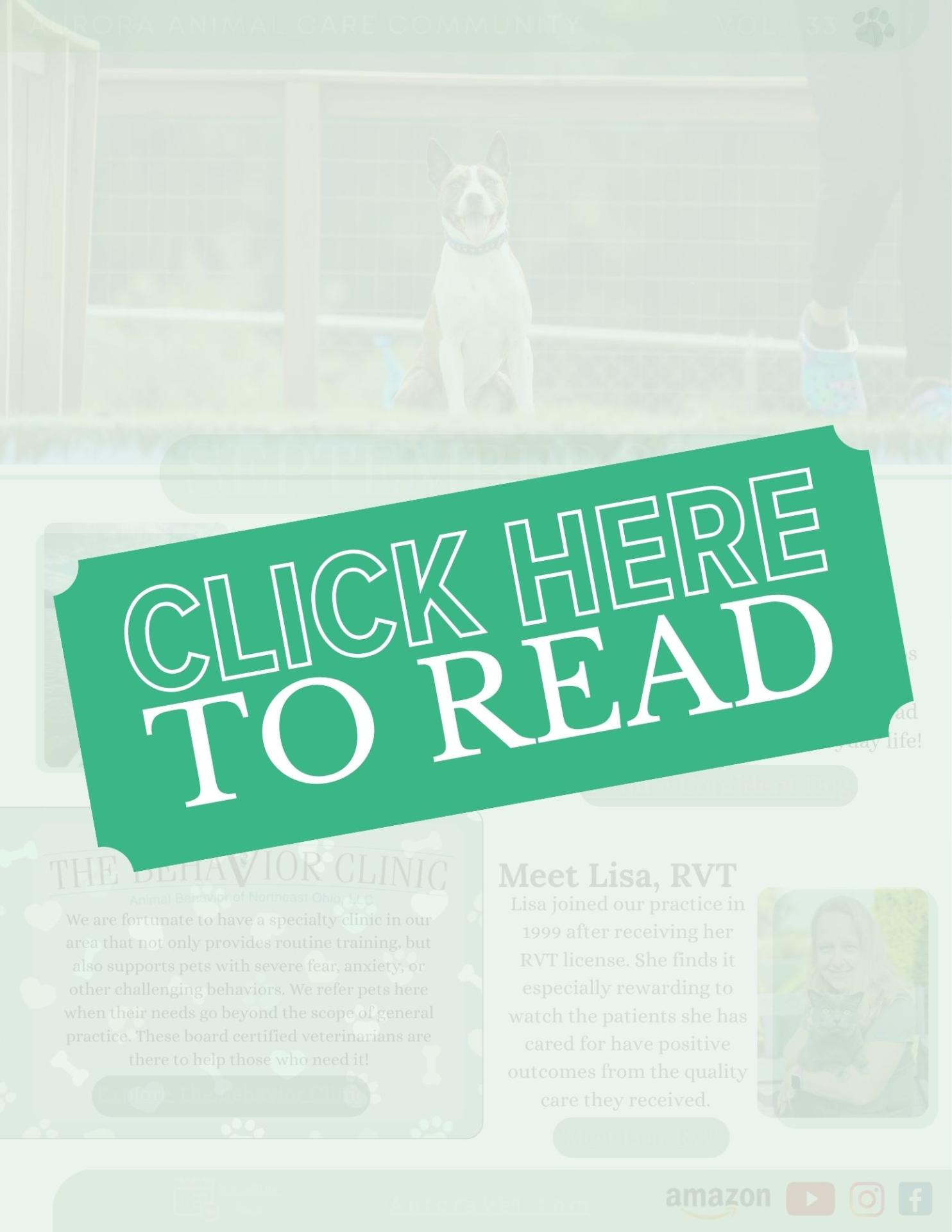 September Newsletter 2026