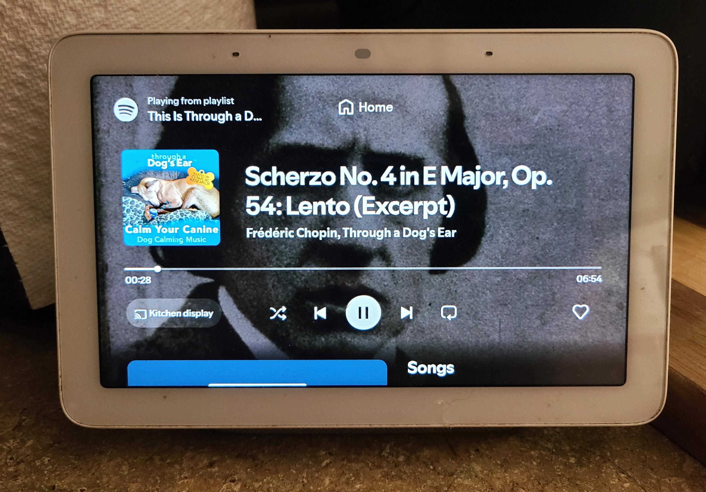 google home