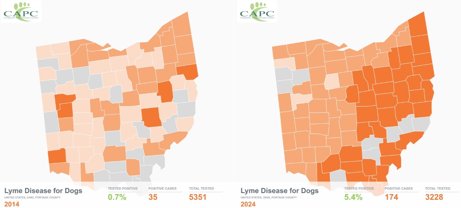 prevalence maps