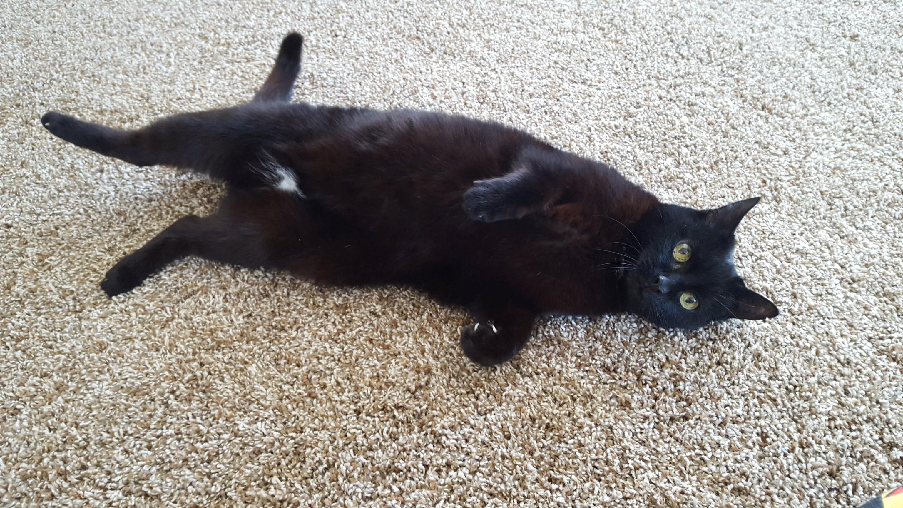 nora