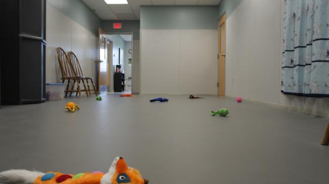 kennel2