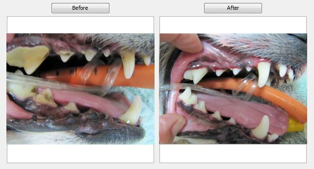 Dental Before & After